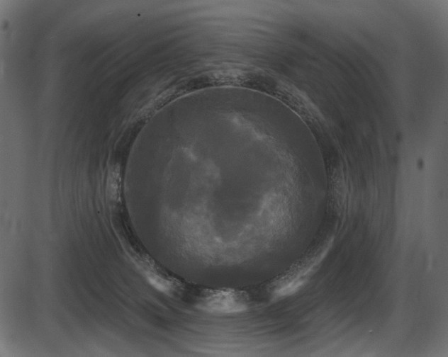 X0000087630083200705031456