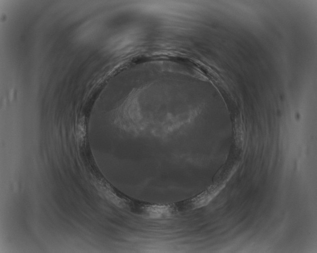 X0000087630085200705031456