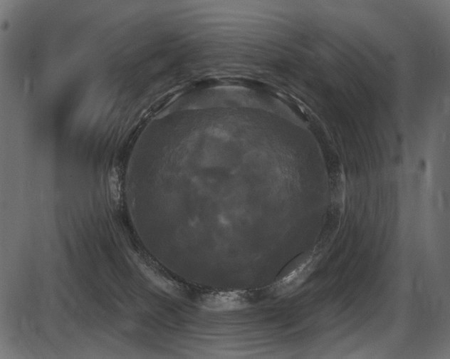 X0000087630086200705031456