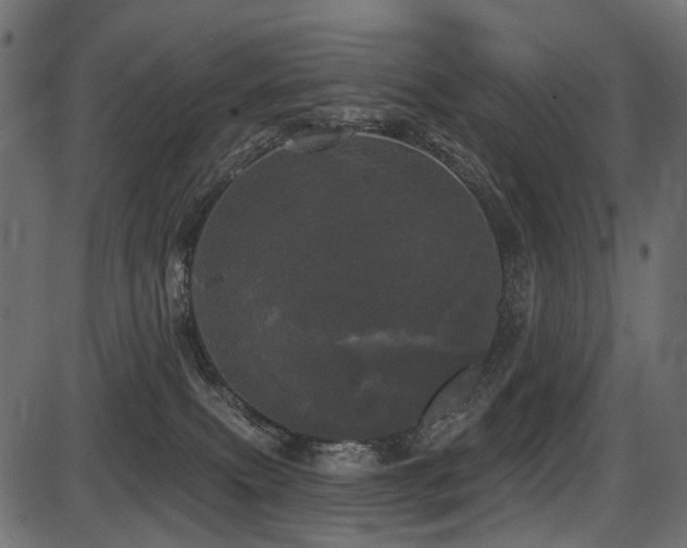 X0000087630087200705031456