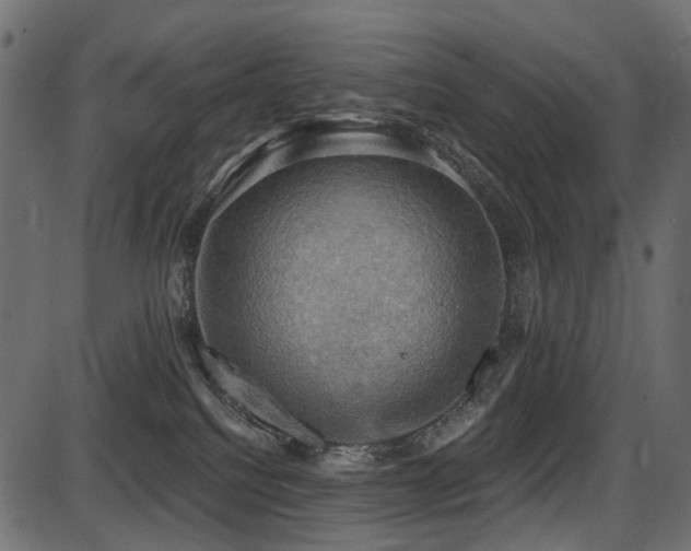 X0000087630088200705031456