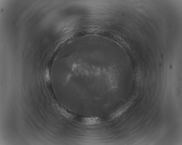 X0000087630089200705031456