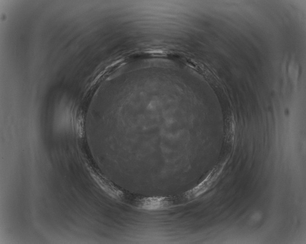 X0000087630090200705031456