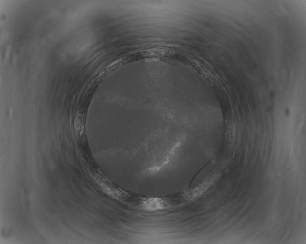 X0000087630091200705031456