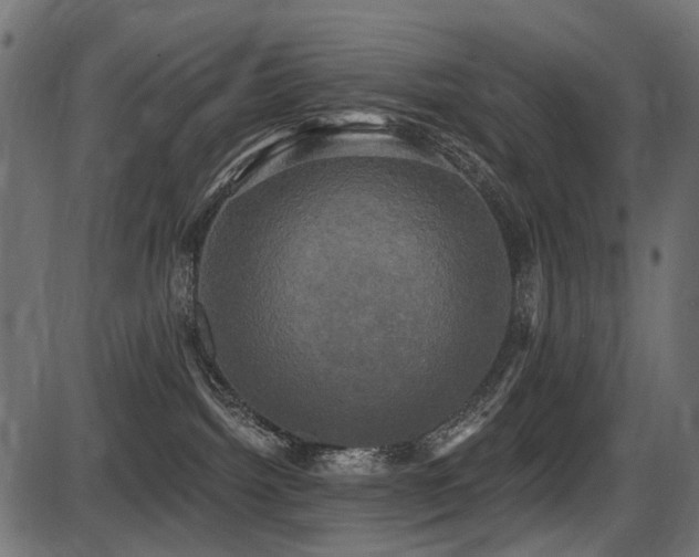 X0000087630092200705031456