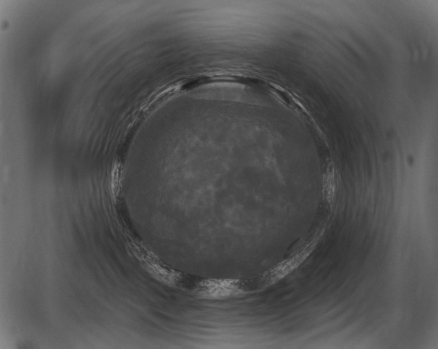 X0000087630093200705031456