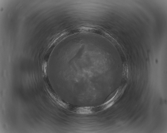 X0000087630094200705031456