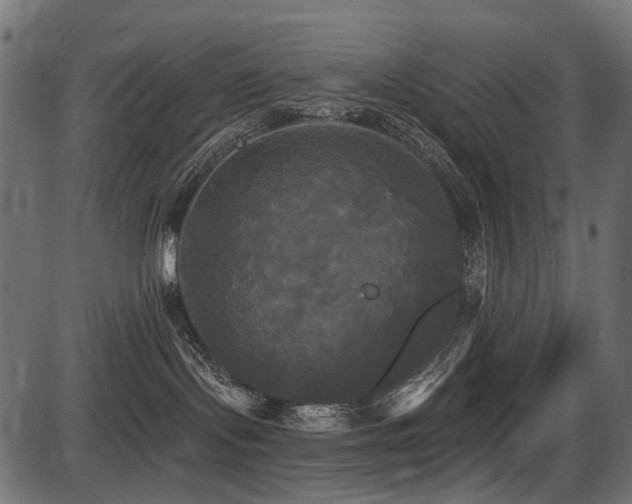 X0000087630095200705031456