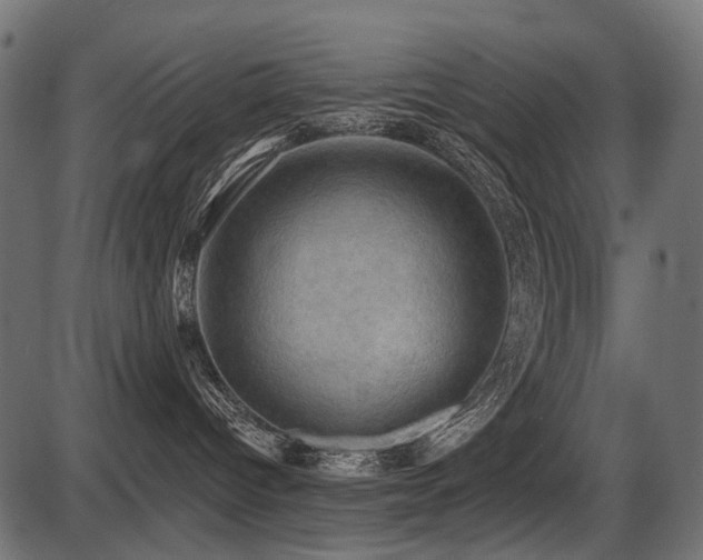 X0000087630096200705031456