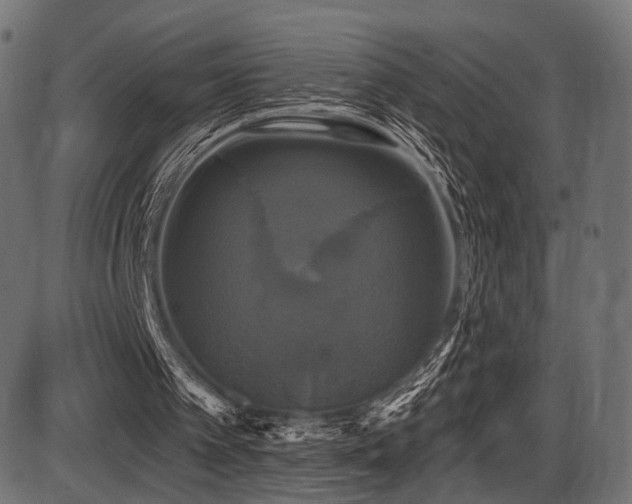 X0000087630097200705031455