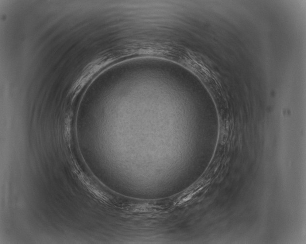 X0000087630098200705031455