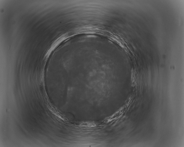 X0000087630099200705031455