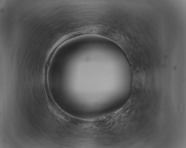 X0000087630100200705031455