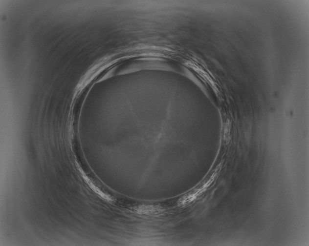 X0000087630101200705031455