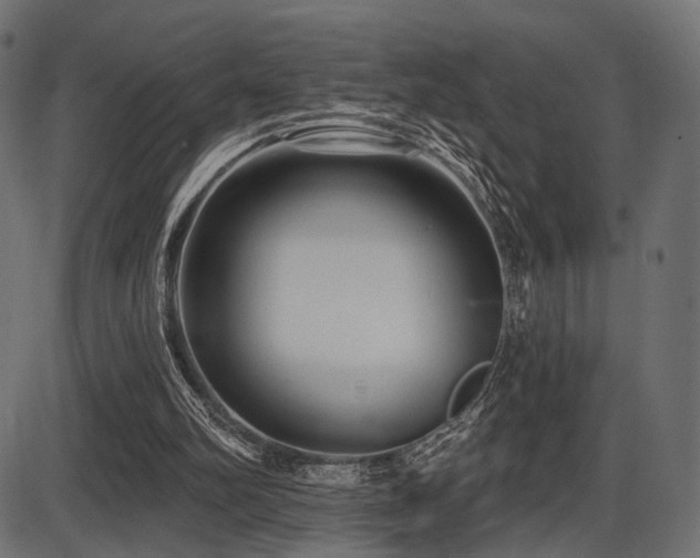 X0000087630102200705031455