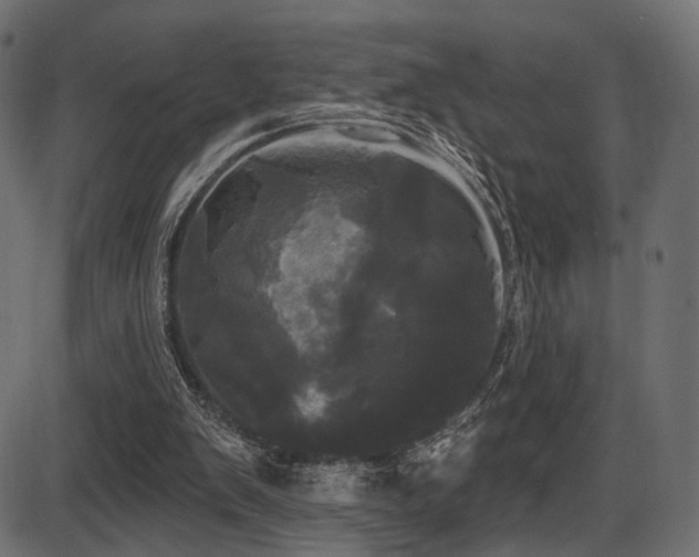 X0000087630103200705031455