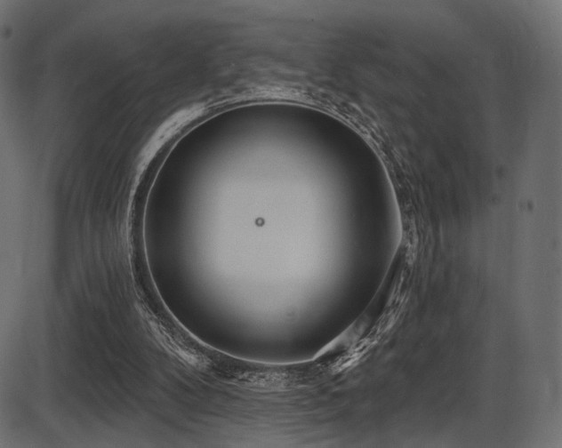 X0000087630104200705031455