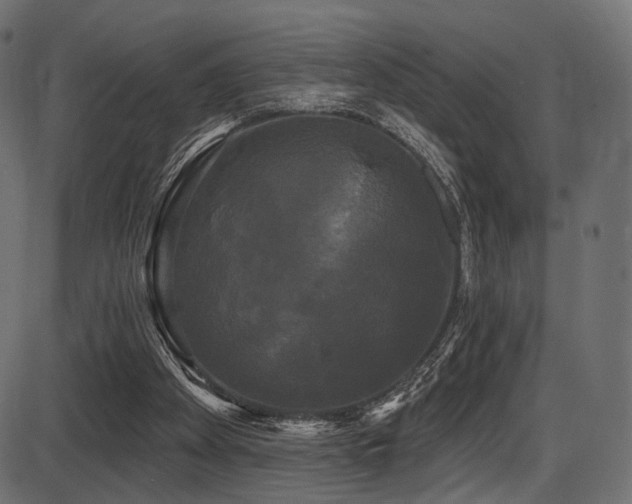 X0000087630105200705031455