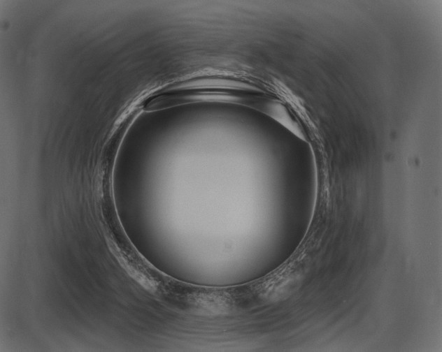 X0000087630106200705031455