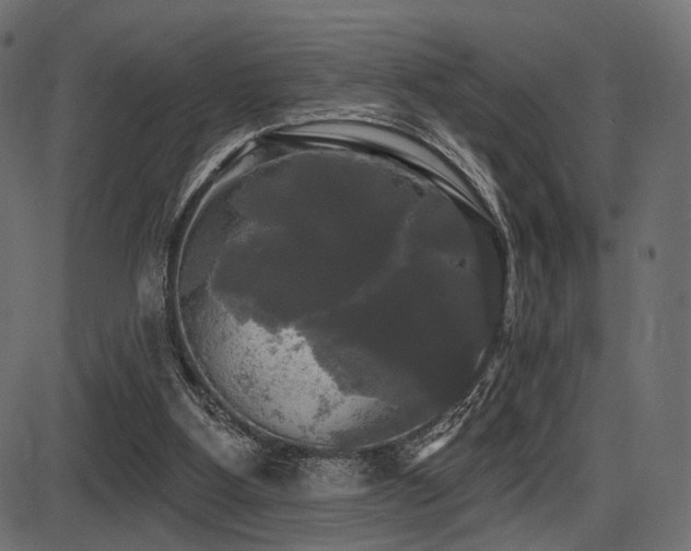 X0000087630107200705031455