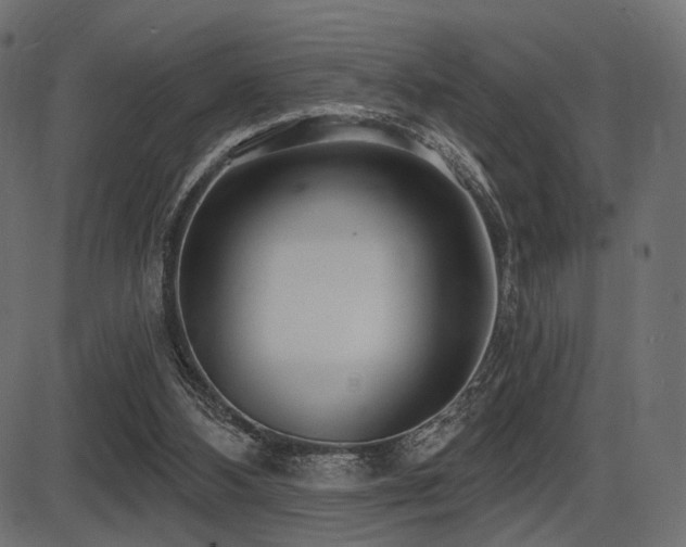 X0000087630108200705031455