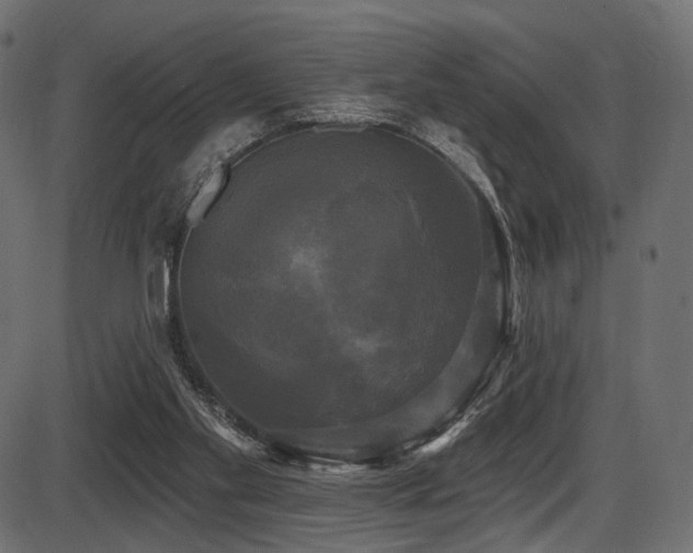 X0000087630109200705031455