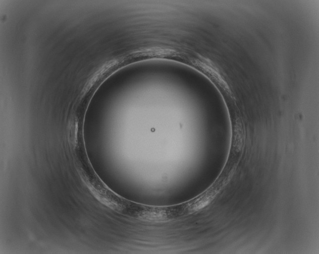 X0000087630110200705031455