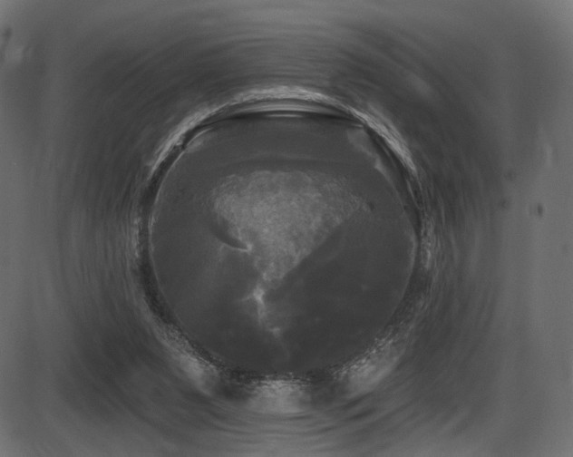 X0000087630111200705031455