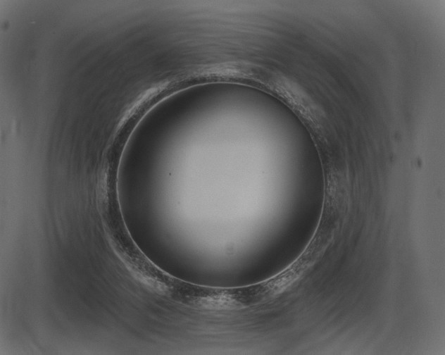 X0000087630112200705031455