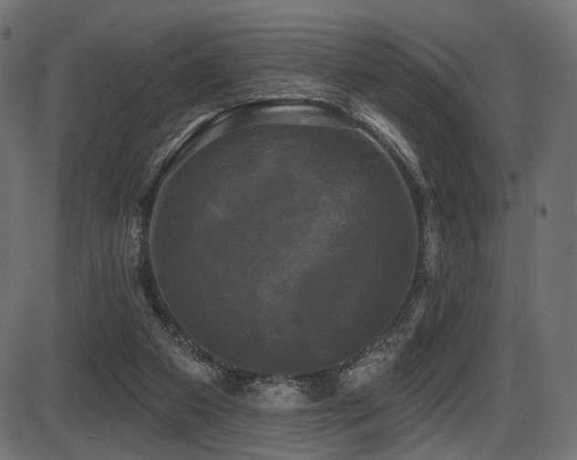 X0000087630113200705031455