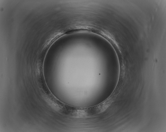 X0000087630114200705031455