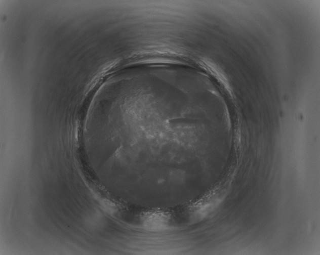 X0000087630115200705031455