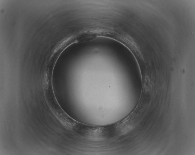 X0000087630116200705031455