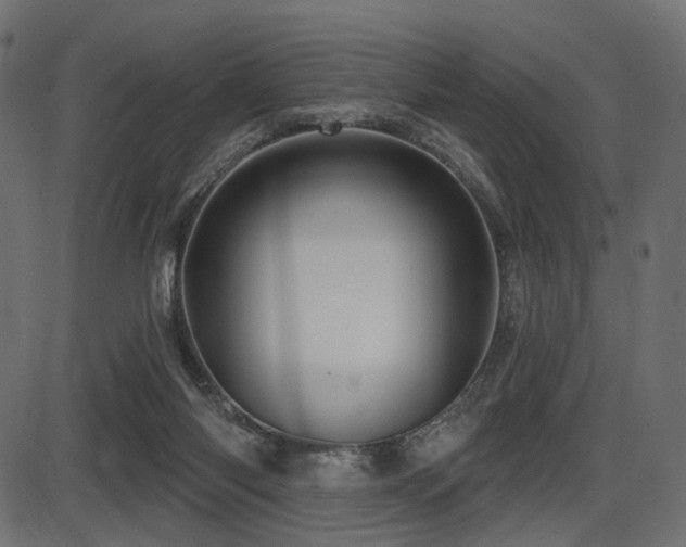 X0000087630118200705031455