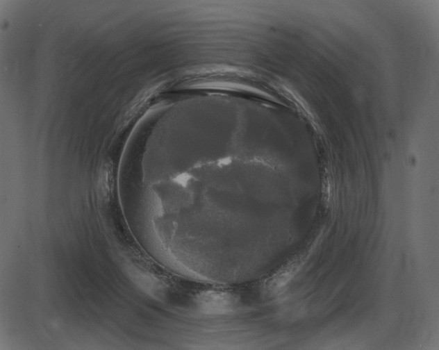 X0000087630119200705031455