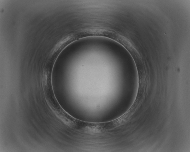 X0000087630120200705031455