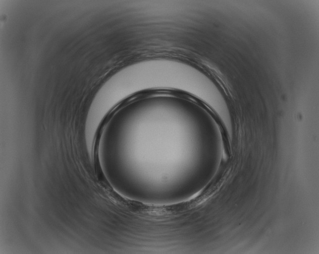 X0000087630121200705031455