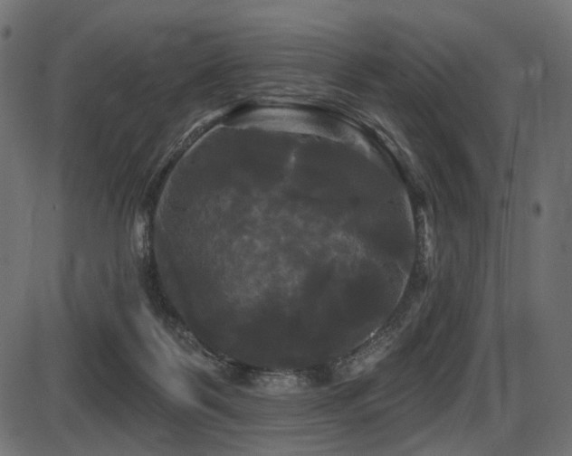 X0000087630123200705031455