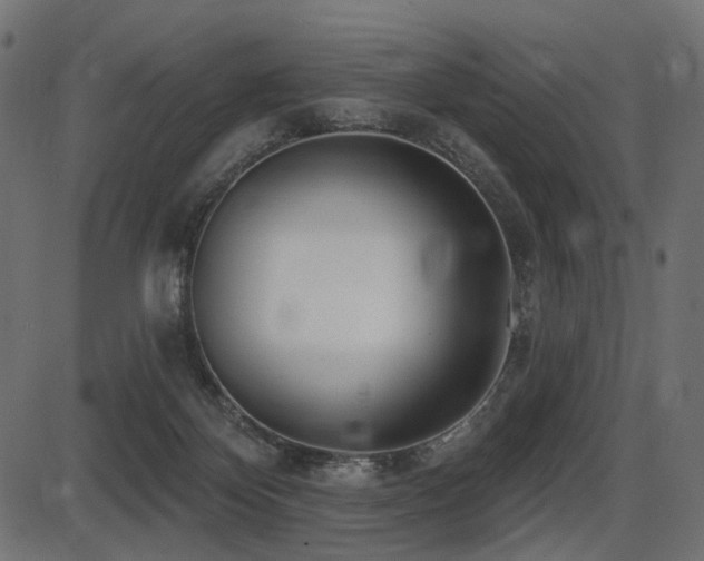 X0000087630124200705031455