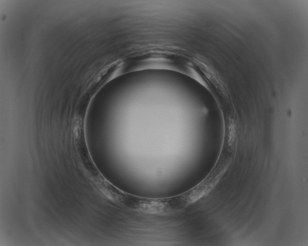 X0000087630125200705031455