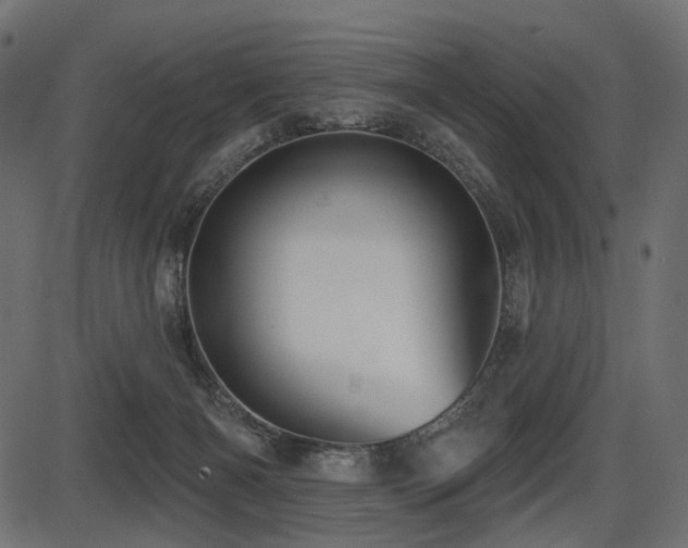 X0000087630126200705031455