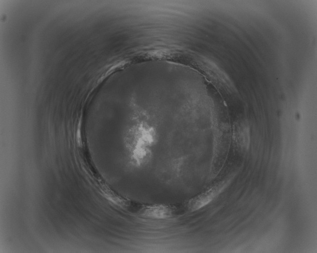 X0000087630127200705031455