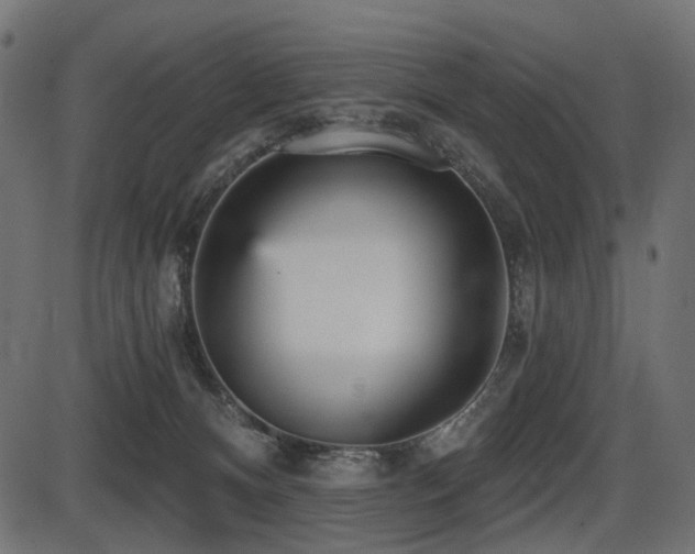 X0000087630128200705031455