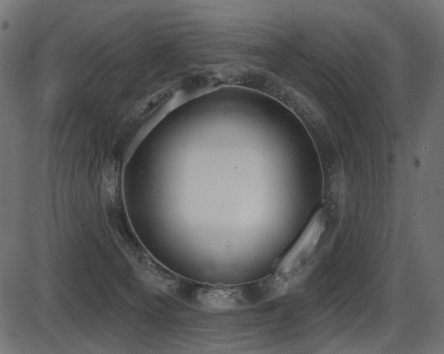 X0000087630129200705031455