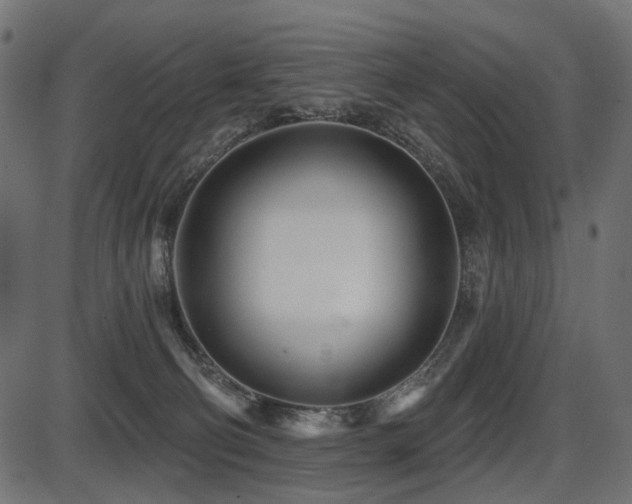 X0000087630130200705031455