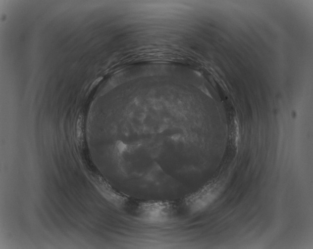 X0000087630131200705031455