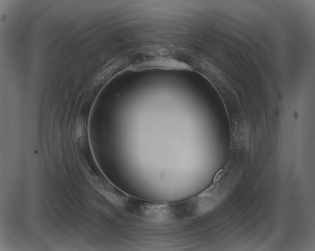 X0000087630132200705031455