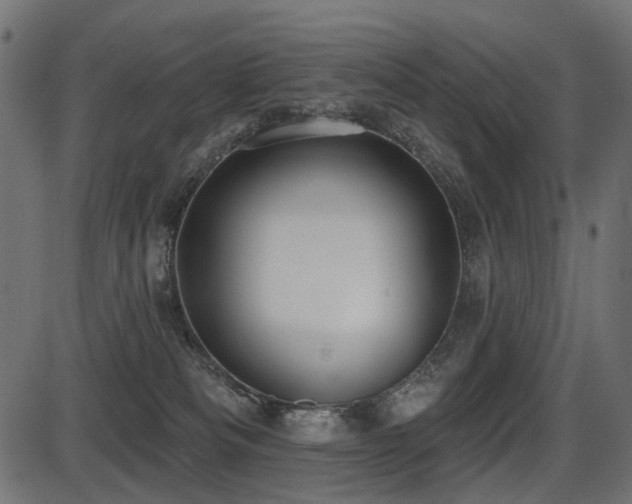 X0000087630133200705031455