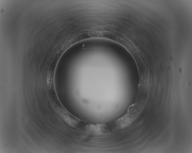 X0000087630134200705031455