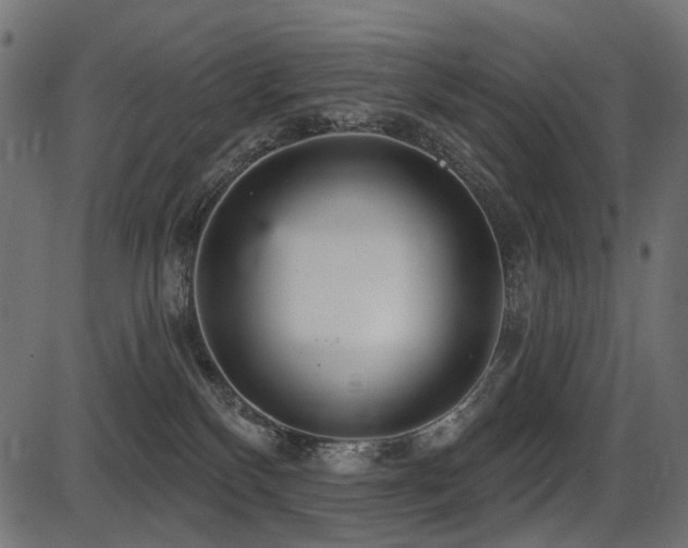 X0000087630136200705031455